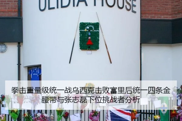 拳击重量级统一战乌西克击败富里后统一四条金腰带与张志磊下位挑战者分析