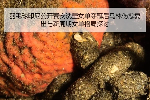 yu-mao-qiu-yin-ni-gong-kai-sai-an-xi-ying-nv-dan-duo-guan-hou-ma-lin-shang-yu-fu-chu-yu-xin-zhou-qi-nv-dan-ge-ju-tan-tao-2-465.jpg